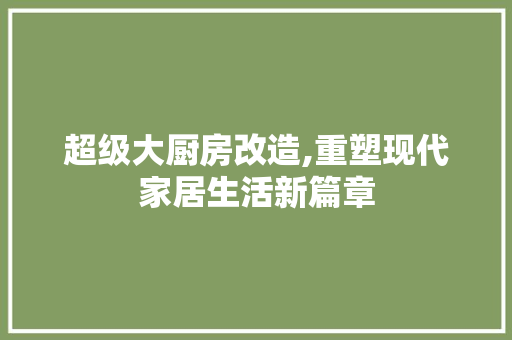 超级大厨房改造,重塑现代家居生活新篇章 装修材料