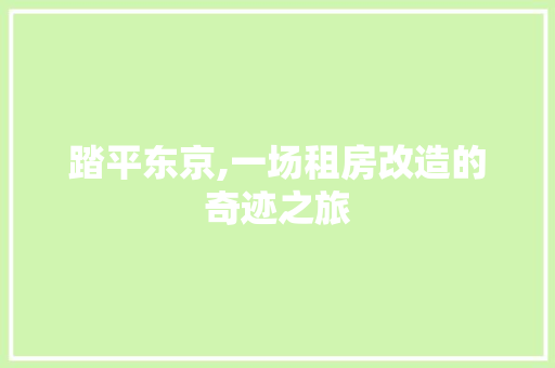 踏平东京,一场租房改造的奇迹之旅