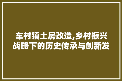 车村镇土房改造,乡村振兴战略下的历史传承与创新发展