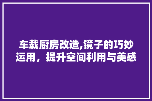 车载厨房改造,镜子的巧妙运用，提升空间利用与美感