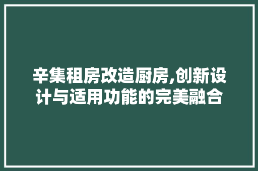 辛集租房改造厨房,创新设计与适用功能的完美融合