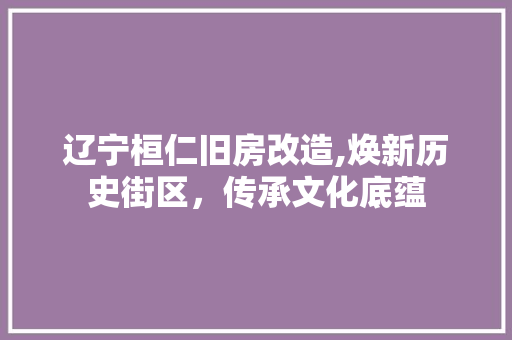 辽宁桓仁旧房改造,焕新历史街区，传承文化底蕴