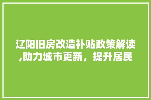 辽阳旧房改造补贴政策解读,助力城市更新，提升居民生活品质