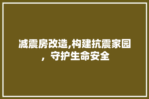 减震房改造,构建抗震家园，守护生命安全