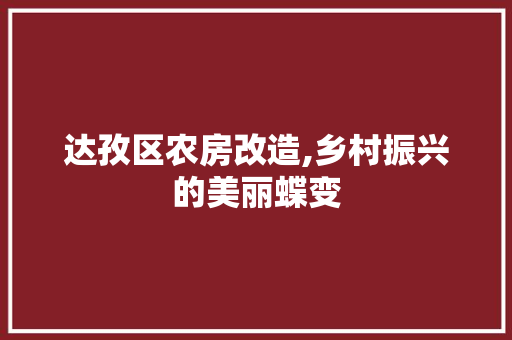 达孜区农房改造,乡村振兴的美丽蝶变
