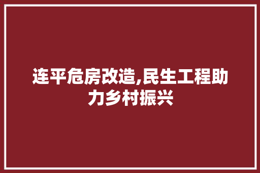 连平危房改造,民生工程助力乡村振兴 墙面装饰
