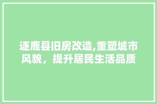 逐鹿县旧房改造,重塑城市风貌，提升居民生活品质 装修材料