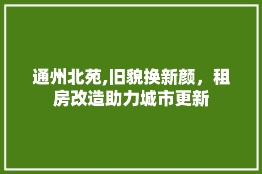 通州北苑,旧貌换新颜，租房改造助力城市更新