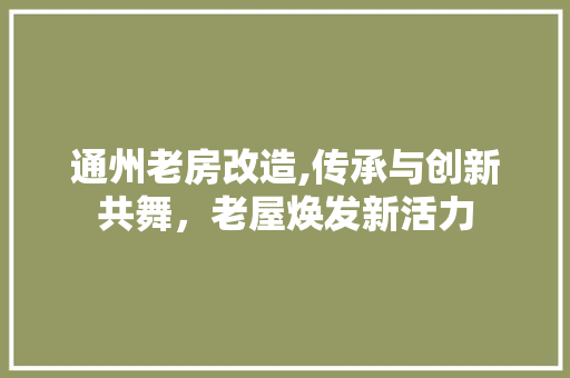 通州老房改造,传承与创新共舞，老屋焕发新活力