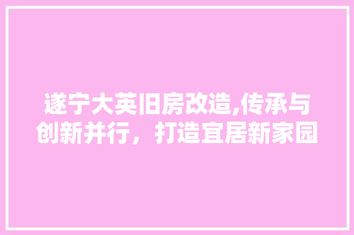 遂宁大英旧房改造,传承与创新并行，打造宜居新家园 装修攻略