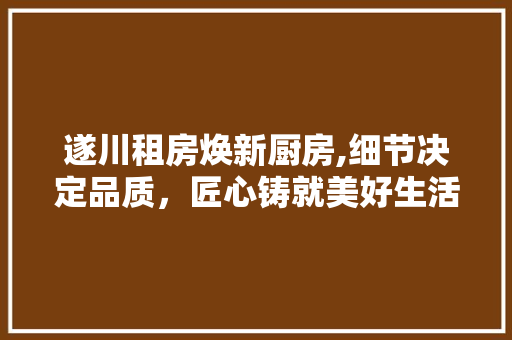 遂川租房焕新厨房,细节决定品质，匠心铸就美好生活