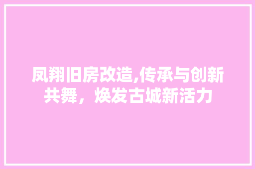 凤翔旧房改造,传承与创新共舞，焕发古城新活力