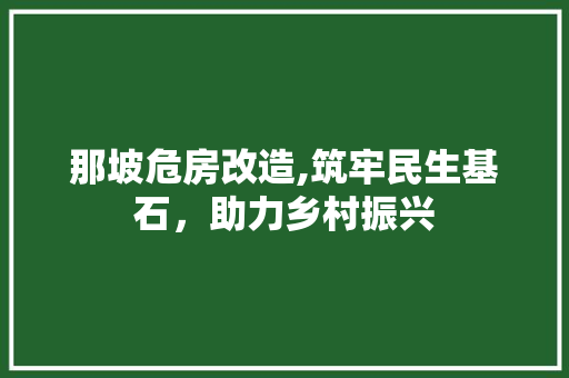 那坡危房改造,筑牢民生基石，助力乡村振兴