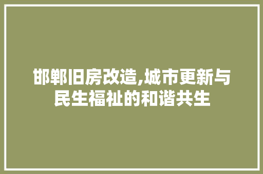 邯郸旧房改造,城市更新与民生福祉的和谐共生