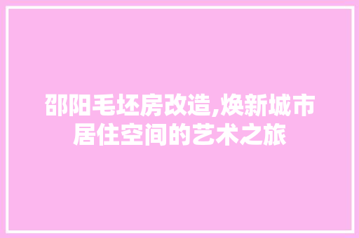 邵阳毛坯房改造,焕新城市居住空间的艺术之旅 装修材料