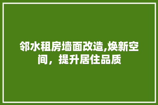 邻水租房墙面改造,焕新空间，提升居住品质