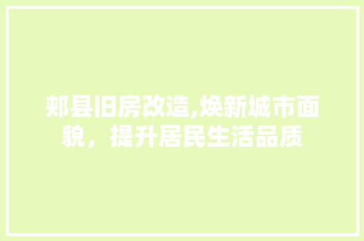 郏县旧房改造,焕新城市面貌,提升居民生活品质 地面装修 郏县旧房改造,焕新城市面貌,提升居民生活品质 地面装修