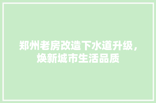 郑州老房改造下水道升级，焕新城市生活品质 墙面装饰