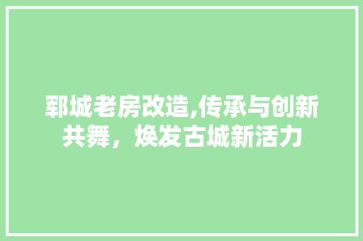 郓城老房改造,传承与创新共舞，焕发古城新活力