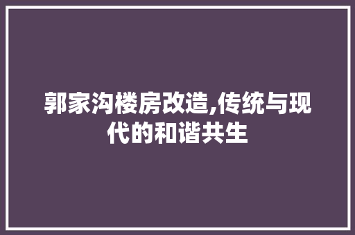 郭家沟楼房改造,传统与现代的和谐共生