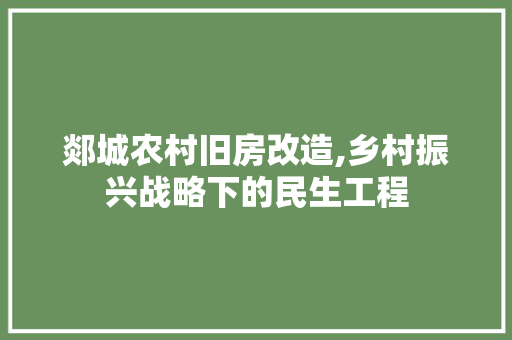 郯城农村旧房改造,乡村振兴战略下的民生工程