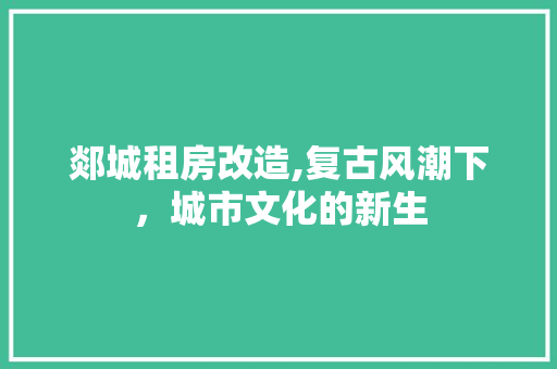 郯城租房改造,复古风潮下,城市文化的新生 墙面装饰 郯城租房改造,复古风潮下,城市文化的新生 墙面装饰