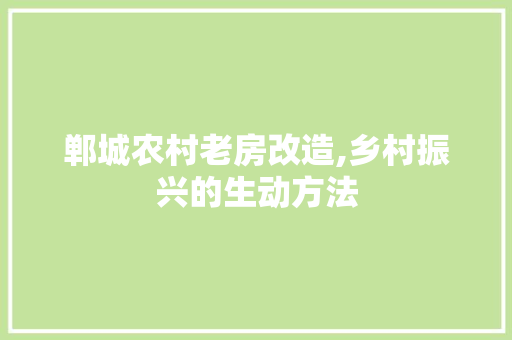 郸城农村老房改造,乡村振兴的生动方法 庭院装修