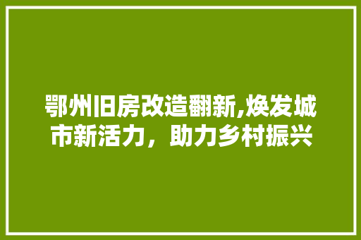 鄂州旧房改造翻新,焕发城市新活力，助力乡村振兴