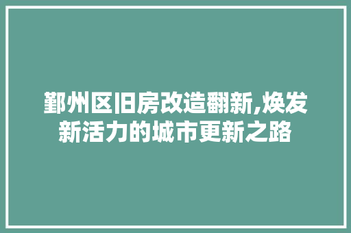 鄞州区旧房改造翻新,焕发新活力的城市更新之路