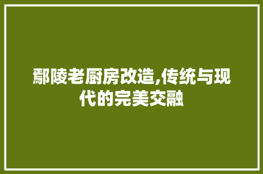 鄢陵老厨房改造,传统与现代的完美交融