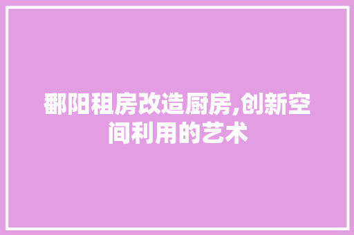 鄱阳租房改造厨房,创新空间利用的艺术