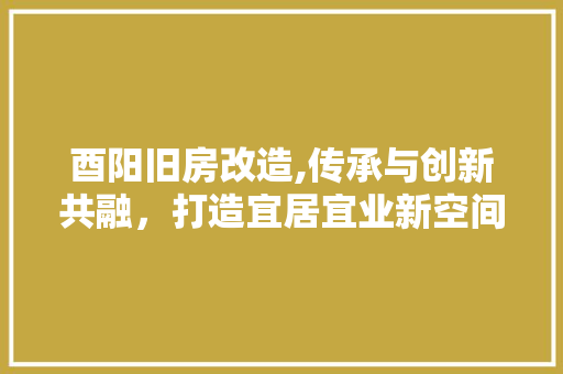 酉阳旧房改造,传承与创新共融，打造宜居宜业新空间 装修攻略