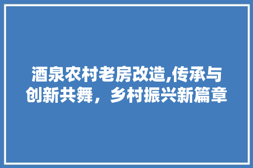 酒泉农村老房改造,传承与创新共舞，乡村振兴新篇章 建筑设计