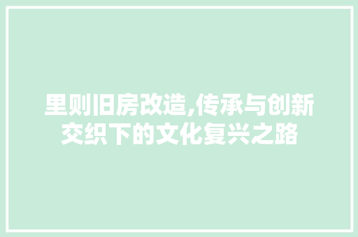 里则旧房改造,传承与创新交织下的文化复兴之路