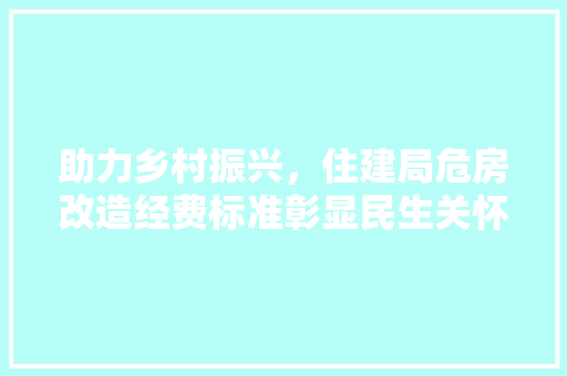 助力乡村振兴，住建局危房改造经费标准彰显民生关怀