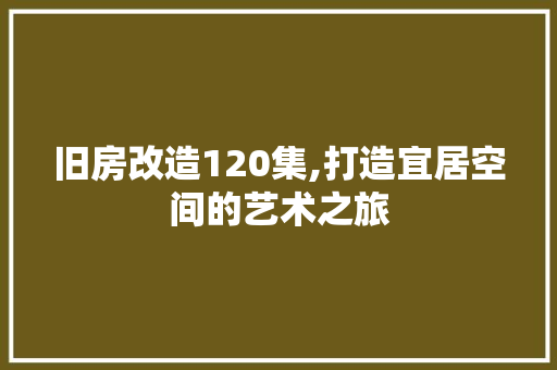 旧房改造120集,打造宜居空间的艺术之旅 装修攻略 旧房改造120集,打造宜居空间的艺术之旅 装修攻略