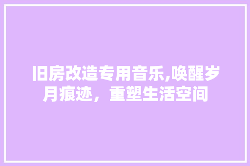 旧房改造专用音乐,唤醒岁月痕迹，重塑生活空间