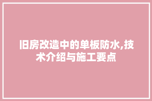 旧房改造中的单板防水,技术介绍与施工要点 景观设计