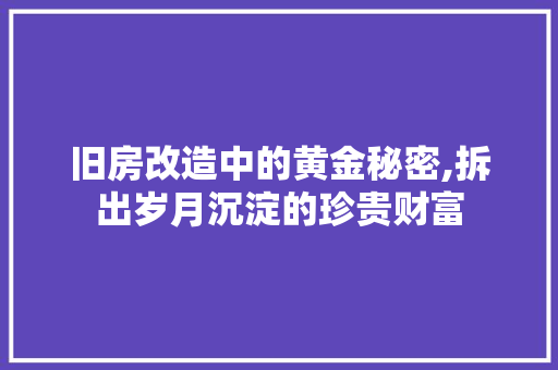 旧房改造中的黄金秘密,拆出岁月沉淀的珍贵财富