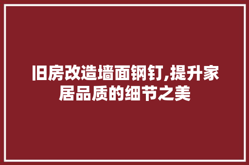 旧房改造墙面钢钉,提升家居品质的细节之美