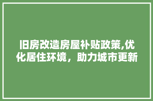 旧房改造房屋补贴政策,优化居住环境，助力城市更新 装修材料