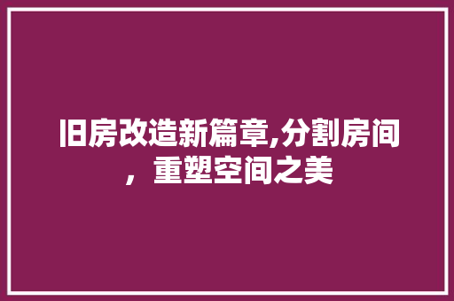 旧房改造新篇章,分割房间，重塑空间之美 隔断设计