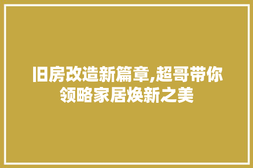 旧房改造新篇章,超哥带你领略家居焕新之美 隔断设计