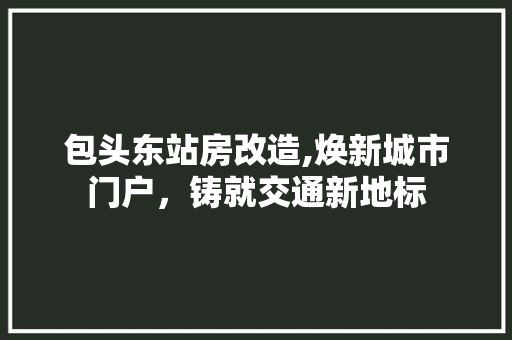包头东站房改造,焕新城市门户，铸就交通新地标 地面装修