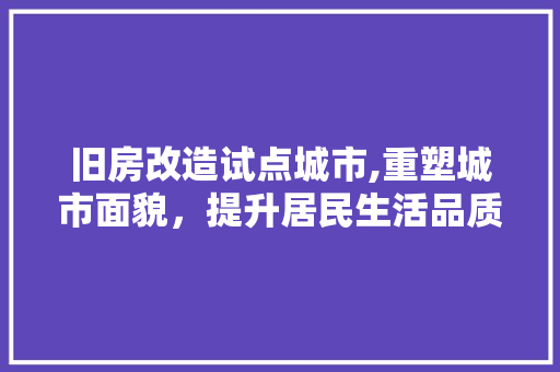 旧房改造试点城市,重塑城市面貌，提升居民生活品质 装修攻略