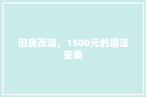 旧房改造，1500元的魔法变奏