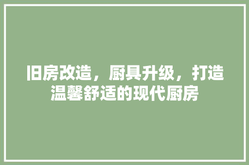 旧房改造，厨具升级，打造温馨舒适的现代厨房 装修攻略