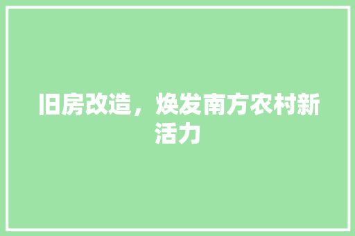 旧房改造，焕发南方农村新活力