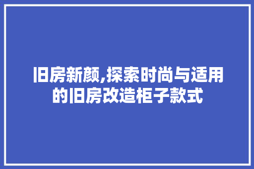 旧房新颜,探索时尚与适用的旧房改造柜子款式