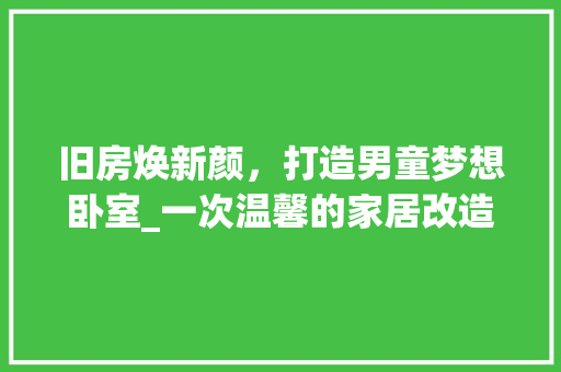 旧房焕新颜，打造男童梦想卧室_一次温馨的家居改造之旅 景观设计